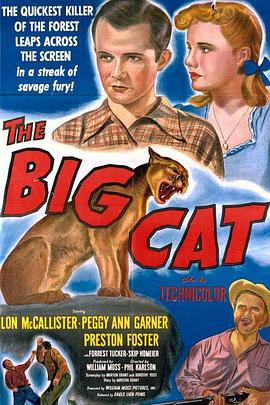 The Big Cat