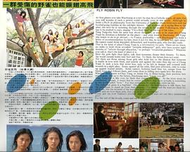 野雀高飞