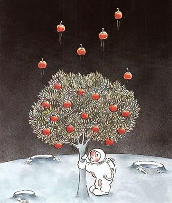 苹果树