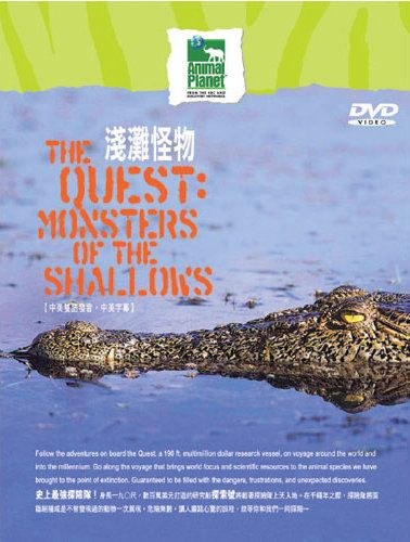 浅滩怪物