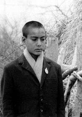 戈尔甘乡村男孩的史诗