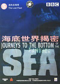 海底世界揭秘：消失在海湾