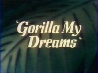 Gorilla My Dreams