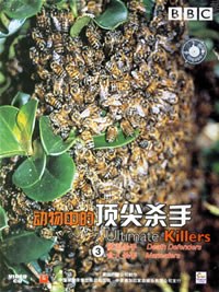 动物中的顶尖杀手3