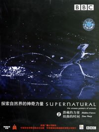 探索自然界的神奇力量2