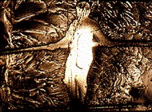 Psalm II: 'Walking Distance'