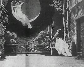 月光小夜曲