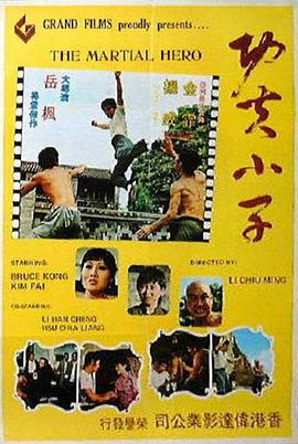 功夫小子