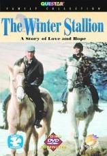 The Winter Stallion