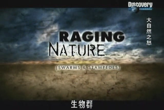 大自然之怒：生物为害