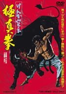 斗殴空手道 极真拳
