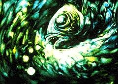 水栖