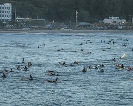 竹岛冲浪日记