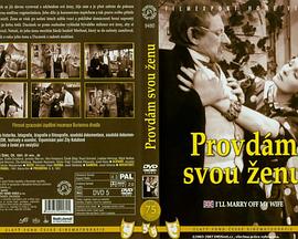 Provdám svou zenu