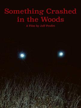 Something Crashed in the Woods