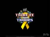 WWE Tribute for the Troops