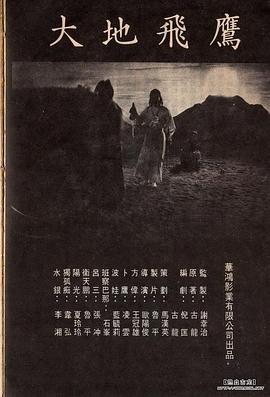 大地飞鹰
