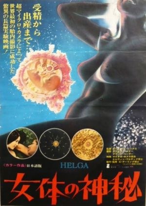 海尔格