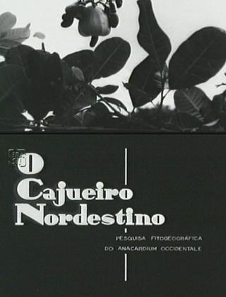 O Cajueiro Nordestino