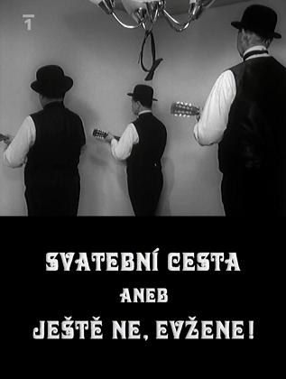 Svatební cesta aneb Jeste ne, Evzene!