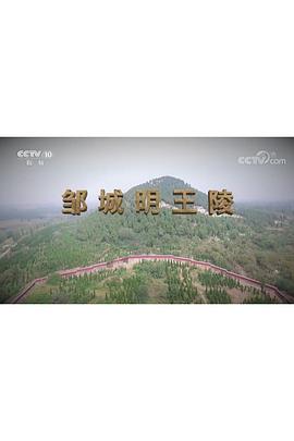 探索发现：邹城明王陵