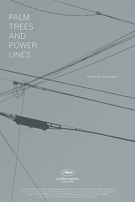 Palm Trees and Power Lines