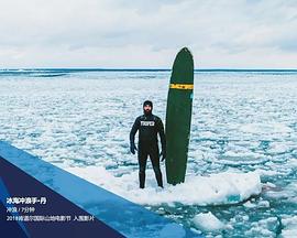 冰海冲浪手丹