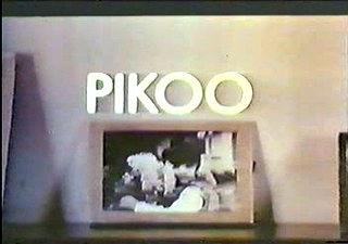 Pikoor Diary