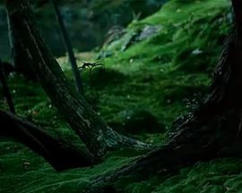 禅院秘境：梦窗