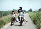 尋找蓮花