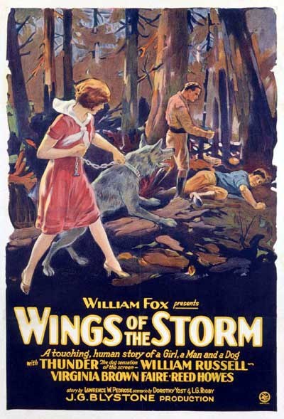 Wings of the Storm