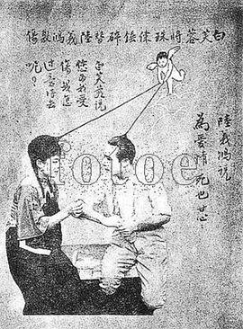 白芙蓉