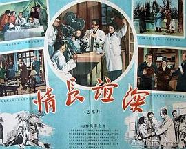 情长谊深