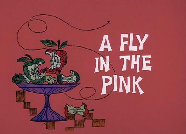 A Fly In The Pink