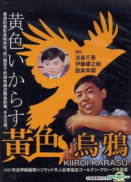 黄色乌鸦