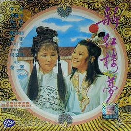 新红楼梦