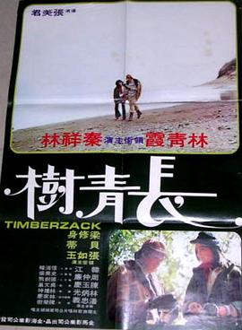 长青树