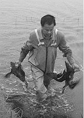 农夫和野鸭