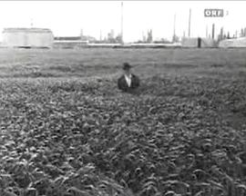 一米四