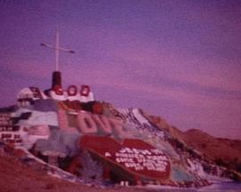 Plagues and Pleasures on the Salton Sea