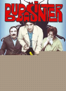 Bubasinter
