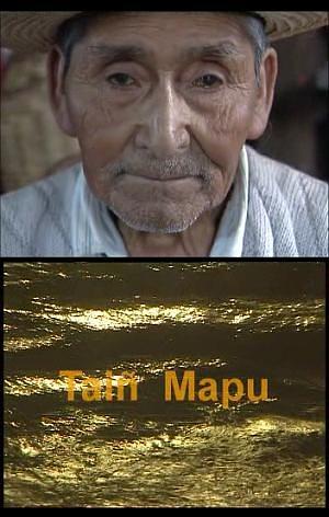 Taiñ Mapu: La Voz de Huenchunao
