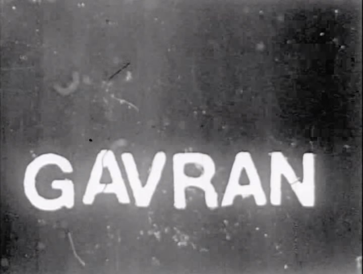 Gavran