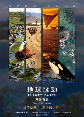 地球脉动：万物有道