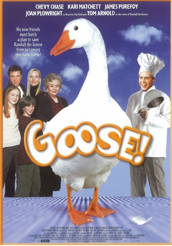 Goose on the Loose