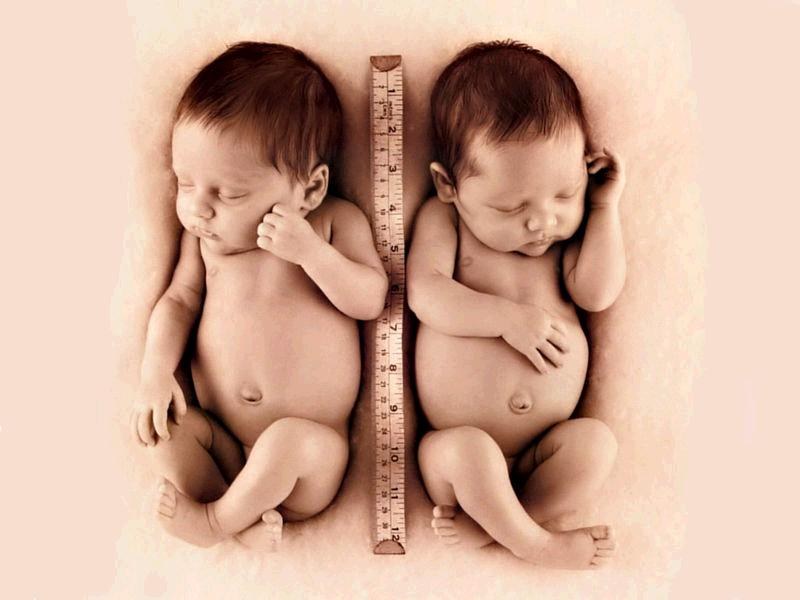 兄弟（two boys)