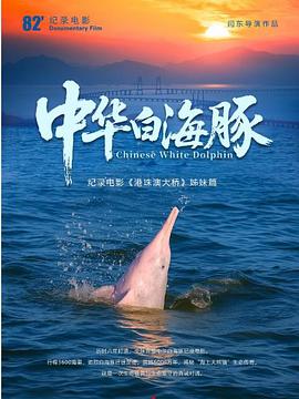 中华白海豚