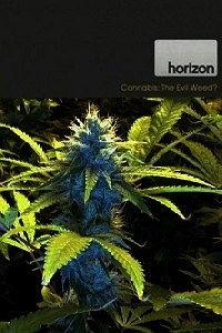 BBC 地平线系列：大麻：罪恶之种？
