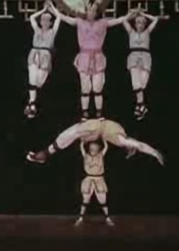 日本蝴蝶