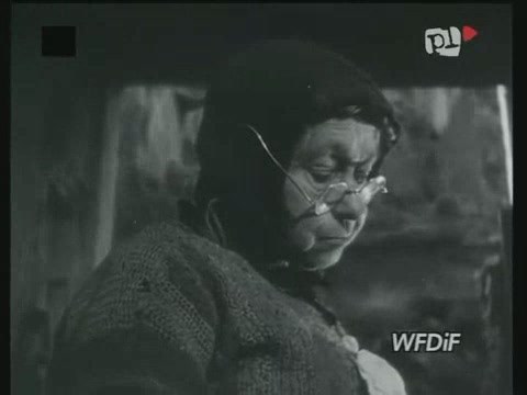 Ulica Brzozowa
